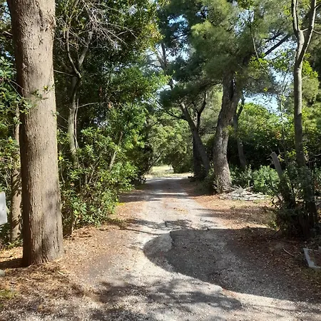 Se113 - Senigallia, Incantevole Quadrilocale In Collina Apartment