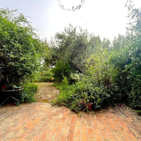 Apartmán Se113 - Senigallia, Incantevole Quadrilocale In Collina San Gaudenzio