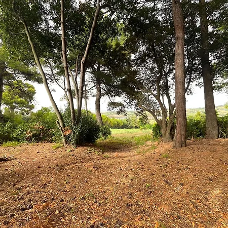 Se113 - Senigallia, Incantevole Quadrilocale In Collina