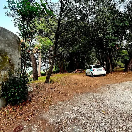 Se113 - Senigallia, Incantevole Quadrilocale In Collina * San Gaudenzio